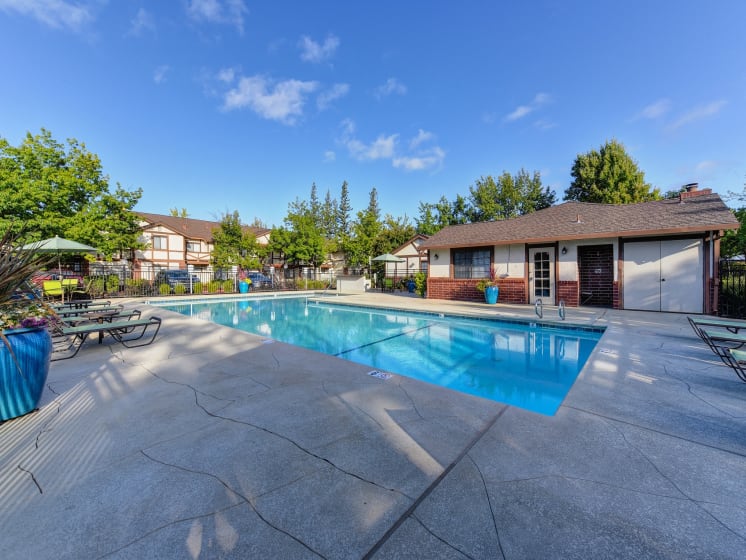 Pool View from Back Corner with Lime Chairs, Brown Table and Trees